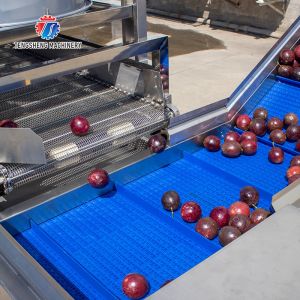 Buy cheap Fruit And Vegetable Wool Roller Bubble Cleaning Machine 1500KG/H from wholesalers