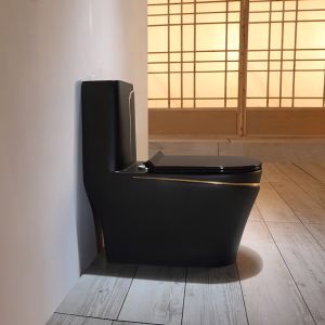 Buy cheap Black Toilet Siphon Flushing Sanitary Ware Toilet from wholesalers