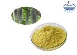 Buy cheap Usnic Acid Pure Plant Extracts , 98% Usnea Lichen Extract Cosmetic Raw Materials from wholesalers