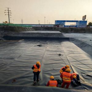Smooth HDPE Liner Geomembrane for Fish and Shrimp Ponds Density 0.940g/cm3 Width
