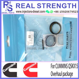 Buy cheap QSKX15 Injector Repair Kit Cummins Injector Rebuild Kit Original Package from wholesalers