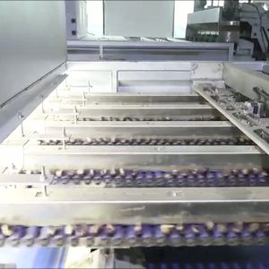 Buy cheap AI powered Durable 304 Stainless Steel Chestnut Sorting Solution with 8 lanes + 8 outlets: Delivering High Accuracy and Labor Savings for Consistent from wholesalers