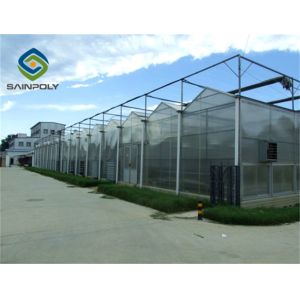 China High transmittance 10.8m Polycarbonate Greenhouse  For  Agriculture Farm on sale