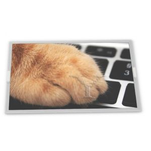 Buy cheap LQ10D34G 10.4 LCD Display Modules TFT Gold supplier Complete range of industrial screens from wholesalers