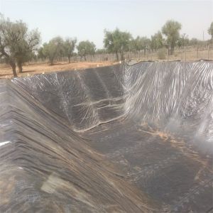 Anti-Seepage Function HDPE Geomembrane for Fish Farm Pond Liner 0.5mm 1mm Water