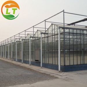 Buy cheap 8m Transparent Glass Solar Greenhouse For Efficiently Produce Tomatoes from wholesalers