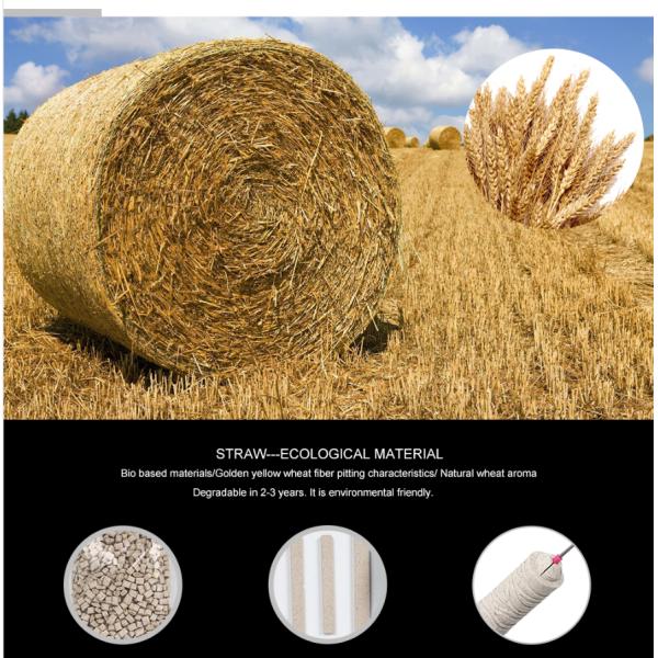 Semi Permanent Makeup Bio Degradable Disposable Microblading Manual Eco-Holder with Pigment Brush