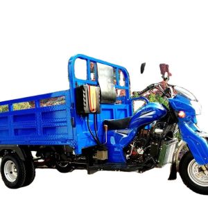 Water Cooled Engine 200CC/250CC/300CC Heavy Loading Trike Three Wheel Motorcycle