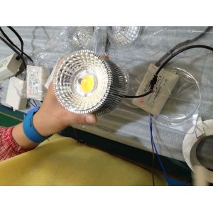 2700k 3000k LED DownLight