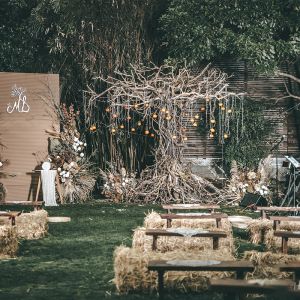 Buy cheap Lifelike Fiberglass Dry Tree Trunk Custom Props Retro Style Planting Decoration from wholesalers