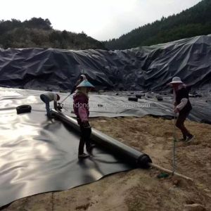 Onsite Inspection HDPE Geomembrane Pond Liner for Fish Prawn Fram and Dam