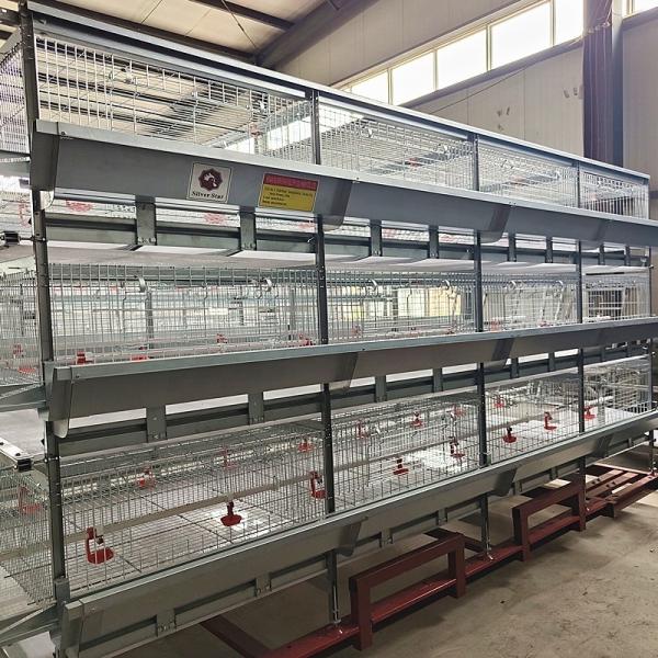 Buy cheap 108 Chickens High Brood Survival Rate Broiler Cage System For Little Chick from wholesalers