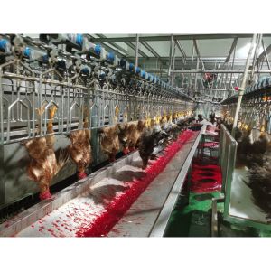 Buy cheap Manufacture of Poultry Meat Processing Plant with 380V Scalding Function from wholesalers