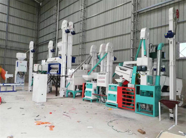 Buy cheap quinoa processing line, quinoa saponin removing machine, quinoa peeling machine from wholesalers