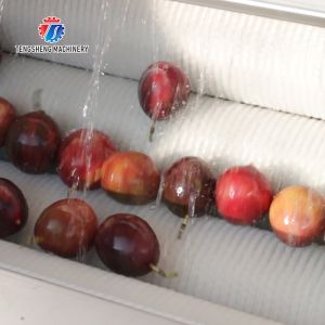 Multifunctional Vegetable And Fruit Processing Line Hair Roller Bubble Cleaning