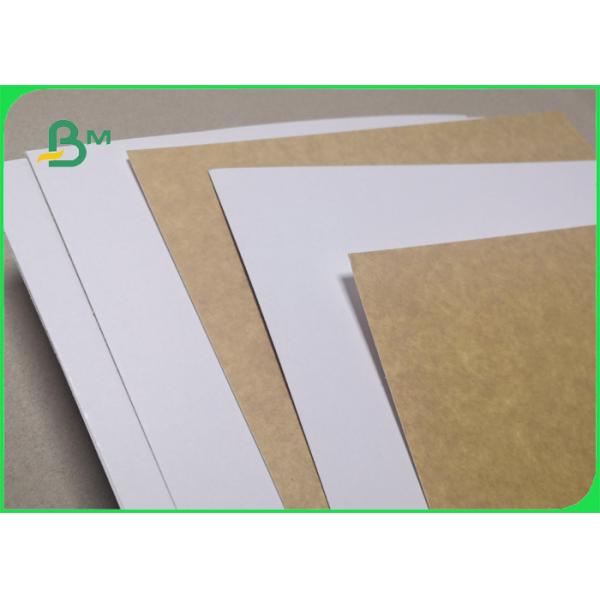 300gsm Clay Coated 1s Kraft Back For Cake Box Tear Resistant 28 x 44inch