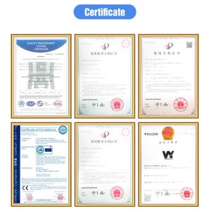 WENYAO Fine Sorting Multi-Color Detection for Rice Sorting Operations Color