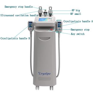 Buy cheap 2019 Most Popular Smart Freezing Cryolipolysis Machine for Weight Loss/Plastic Surgery from wholesalers