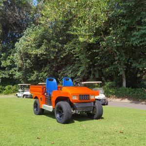 Buy cheap New Design 72V Electric Utility Buggy With Aluminum Cargo from wholesalers