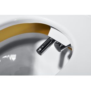 Siphon Jet Flushing Bathroom Smart Toilet With Reciprocating Cleaning Function