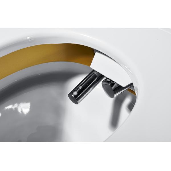 Siphon Jet Flushing Bathroom Smart Toilet With Reciprocating Cleaning Function