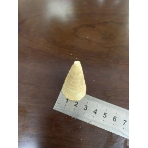 Buy cheap 7000pcs/H Automatic Mini Rolled Sugar Cone Making Machine from wholesalers