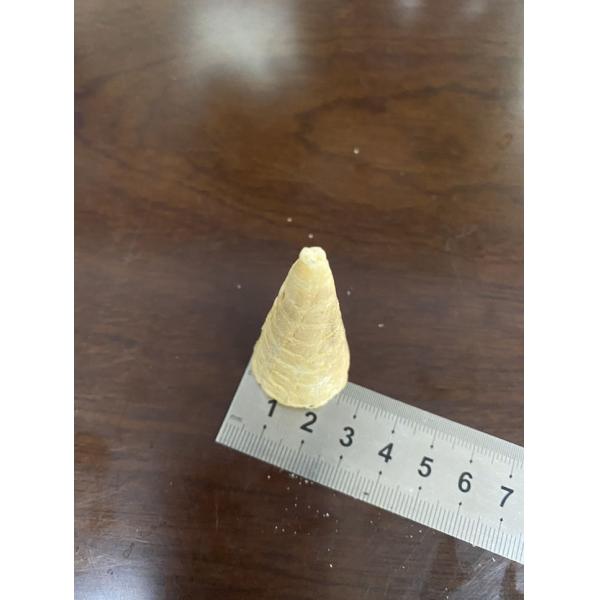 Buy cheap 7000pcs/H Automatic Mini Rolled Sugar Cone Making Machine from wholesalers