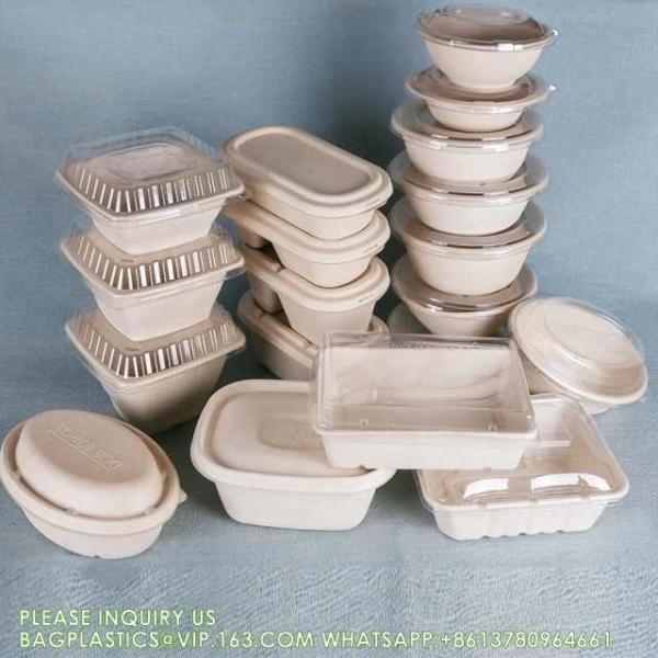 Biodegradable Disposable Compostable Sugarcane Bagasse Food Container Paper Pulp