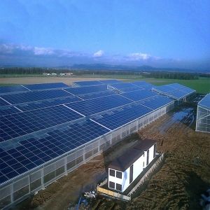 Buy cheap Galvanized Anodized Greenhouse Solar Panel Roof Racking System from wholesalers