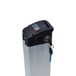 China China manufacture High quality Lithium Electric Bicycle Battery on sale