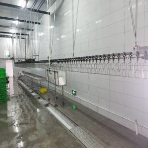 Buy cheap Stainless Steel Chicken Slaughtering Line Machine Solution for Poultry Processing from wholesalers