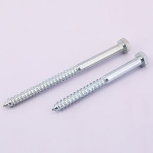 Buy cheap Din571 Wood Screws Custom Carbon Steel DIN 571 Hex Head Coach Lag Screw from wholesalers