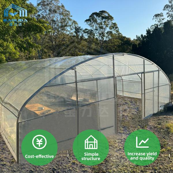 Quality PE Film Greenhouse Frame Structure Ventilated Serre Agricole Greenhouse for sale