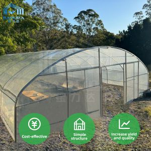 Buy cheap PE Film Greenhouse Frame Structure Ventilated Serre Agricole Greenhouse from wholesalers