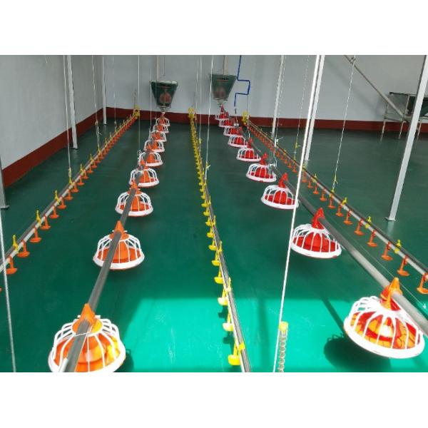 Quality Broiler Chicken Layers Auto Feeding System Plastic Feed Pans for sale