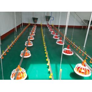 Buy cheap Broiler Chicken Layers Auto Feeding System Plastic Feed Pans from wholesalers