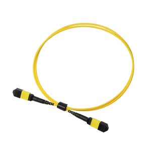 Plenum OFNP MPO Patch Cord 1m 3ft MTP-12 APC Female to MTP-12 APC Female Single