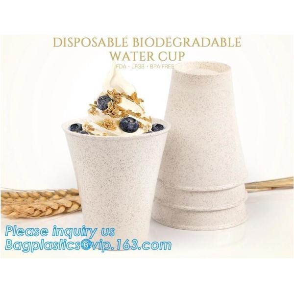 Quality Custom Disposable Clear Cold Drink Juice Cup 100% Ecofriendly Biodegradable Compostable PLA Plastic Coffee Drinking Cup for sale