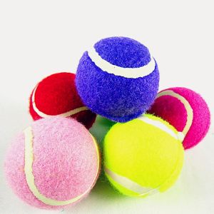 Pet toys for dogs