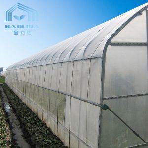Buy cheap Hot Aluminized Zinc Single Span Plastic Film Greenhouse 8m Width from wholesalers