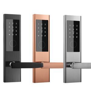 Buy cheap Electronic Digital Keypad Apartment Smart Door Lock For Home AirBNB from wholesalers