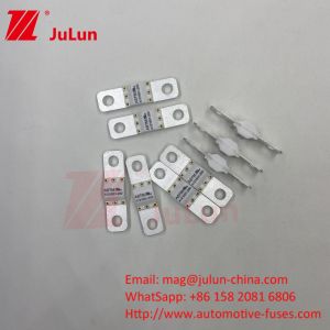 Buy cheap ASTM A121601 125VDC 10KA 20KA Electric Vehicle Fuse Fuses For Road Vehicles 250A  100A 150A from wholesalers