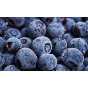 IQF Frozen Blueberries in Bulk Good Prices for Wholesale