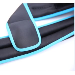 Buy cheap 8KG Free Weight Exercise Equipment SBR Gym Weight Lifting Belt from wholesalers
