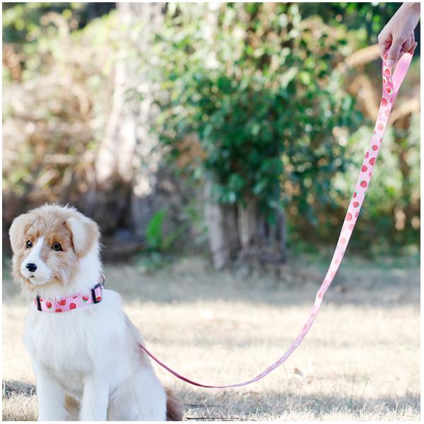 OEM training dog leash Silk Screen Pattern dog training lead