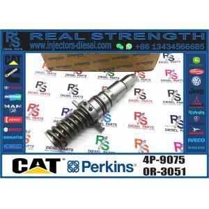 Excavator Parts 3116 Engine Injector 0R-8483 0R-3002 0R-8477 0R-3190 0R-8473 4P