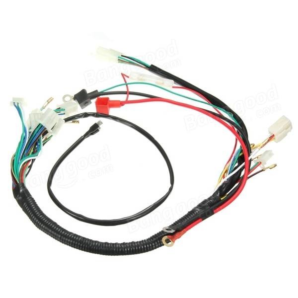 Quality Home Appliance Custom Wire Harness with Y38 K20 Engine and Copper Conductors for sale