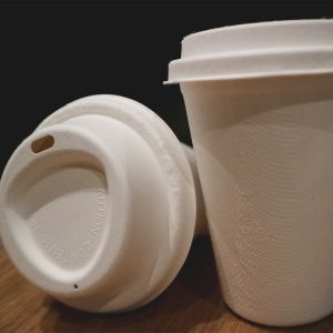 Buy cheap Molded Biodegradable Sugarcane Bagasse Disposable Cups With Lids from wholesalers