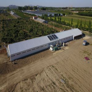 Poultry Farm Chicken House Light Prefabricated Steel Structure Building