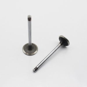 20798699 20798533 Diesel Engine Valve D6D D6E Intake Exhaust Valve For Volvo